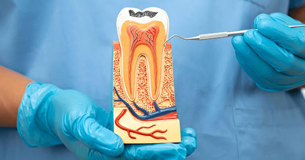 Best Endodontist in Gorakhpur